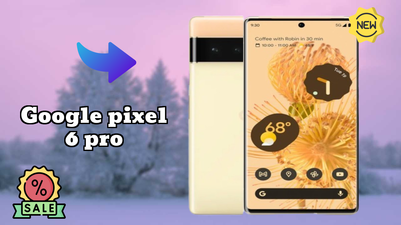 Google Pixel 6 Pro 2026 All-Rounder Comparison Guide
