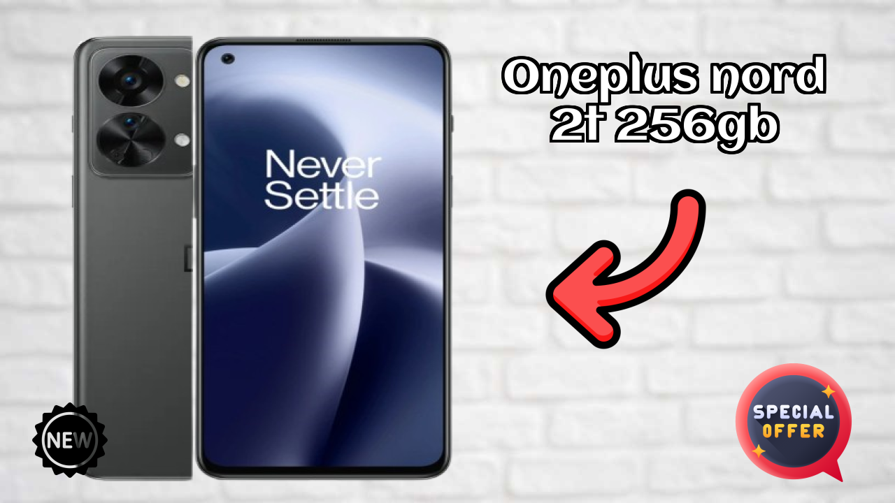 OnePlus Nord 2T 256GB Camera Review: 50 MP + 8 MP + 2 MP Rear Camera Photo Test